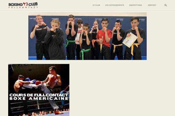 Site using Trx_socials plugin
