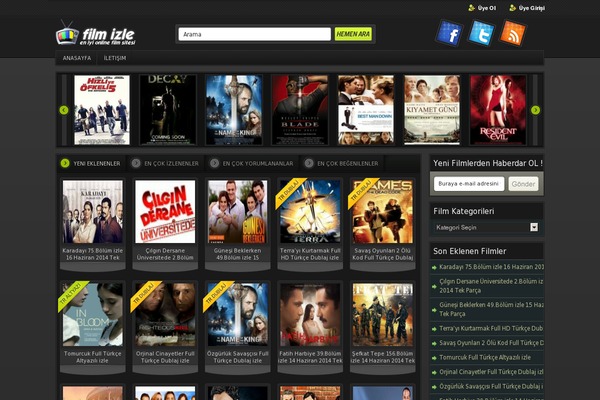 temam theme websites examples