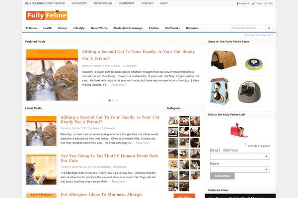 Daily theme site design template sample