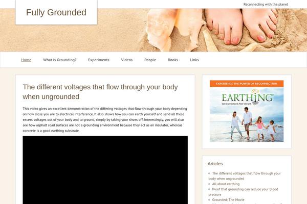 zeeMinty theme site design template sample