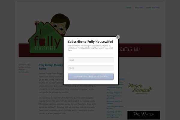Ashe theme site design template sample