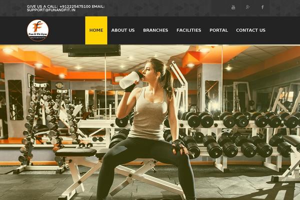 Site using Font Awesome More Icons plugin