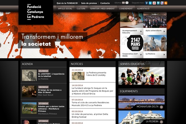 ccat theme websites examples