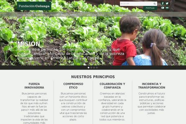 fundacioncolunga.org site used Meta