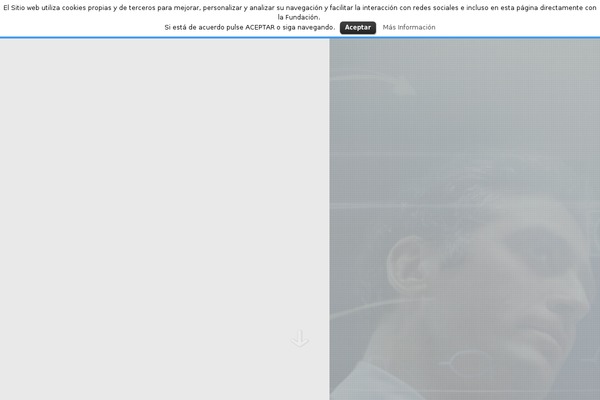 Inesta theme site design template sample