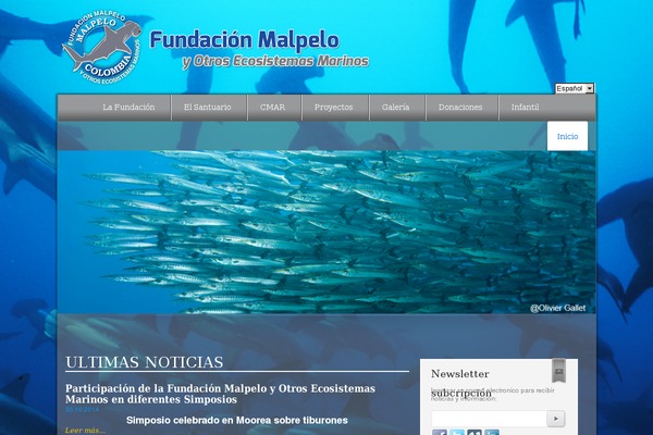 Medica theme site design template sample