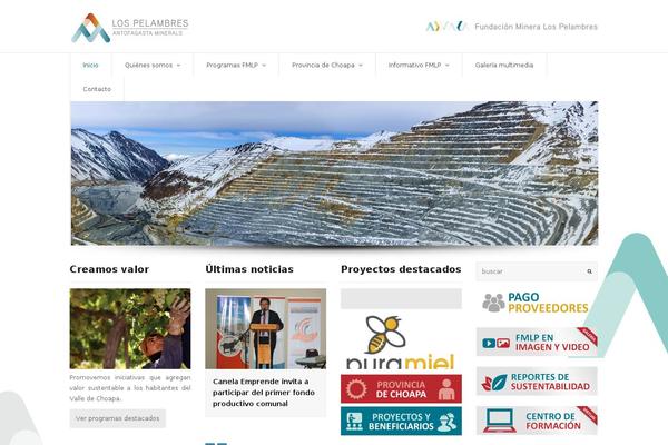 Total Child theme site design template sample