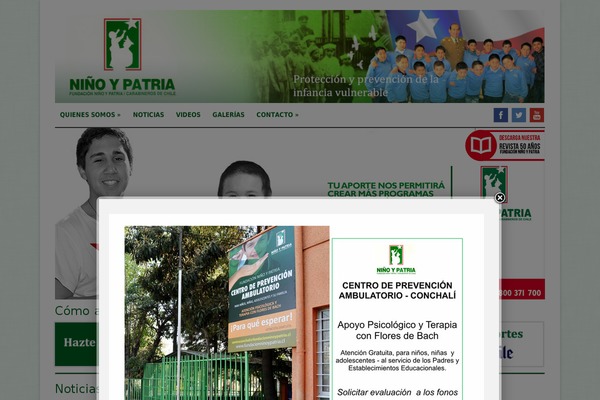 Adapt theme site design template sample