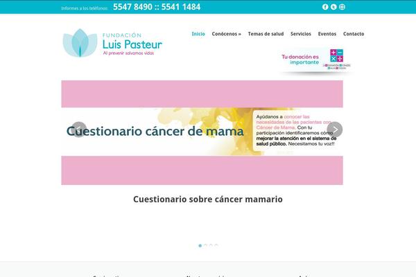 fundacionpasteur.org site used Fundacion