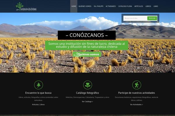 Site using Smart-recent-posts-widget plugin