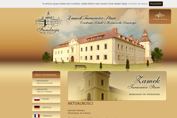 Fundacja theme site design template sample
