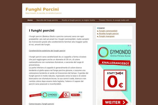 Catch Box theme site design template sample