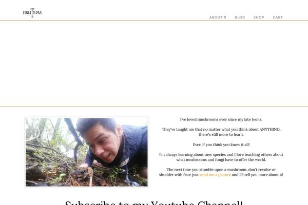 Site using X-email-mailchimp plugin