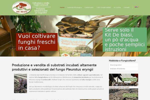 Site using Widgetkit_wp plugin