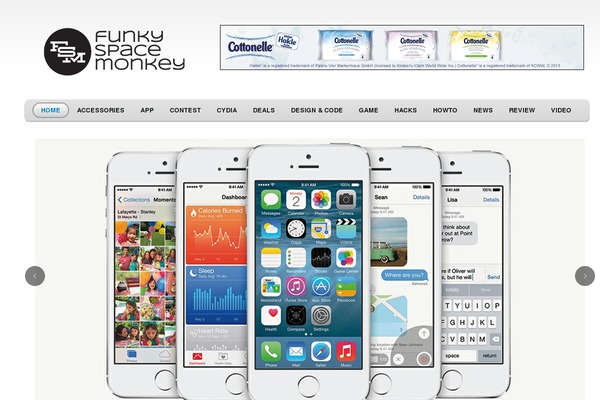 fsm theme websites examples