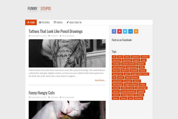 funnyandstupid.com site used Truepixel