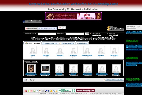 Pinclone theme site design template sample