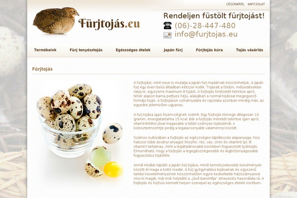 Starter theme site design template sample