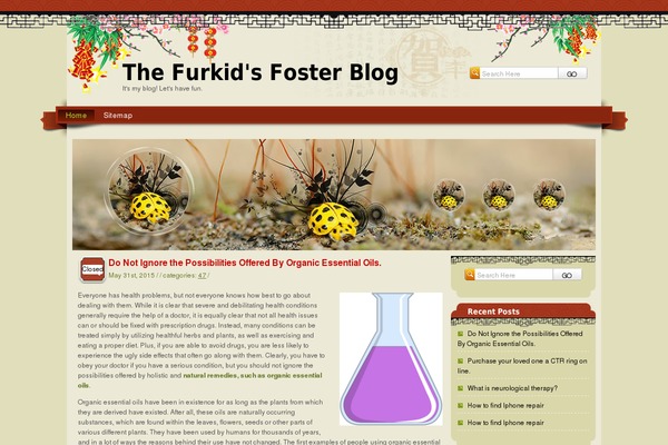 furkidfosters.com site used SpringFestival