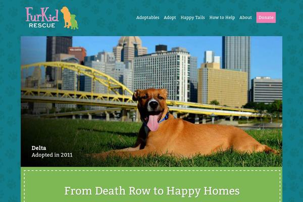 Rescue theme site design template sample