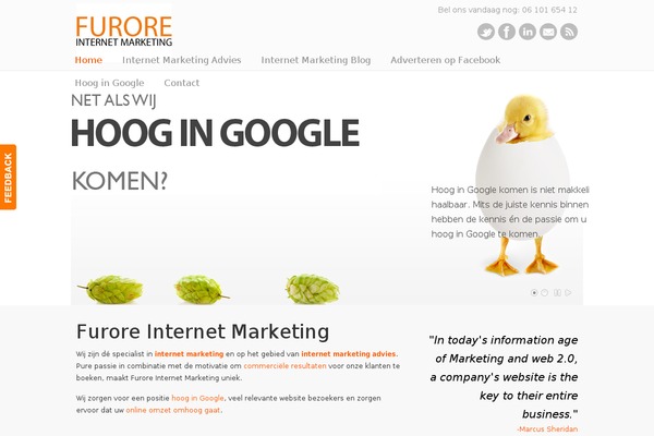 Site using Svg-flags-lite plugin