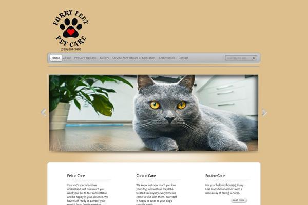 TheProfessional theme site design template sample
