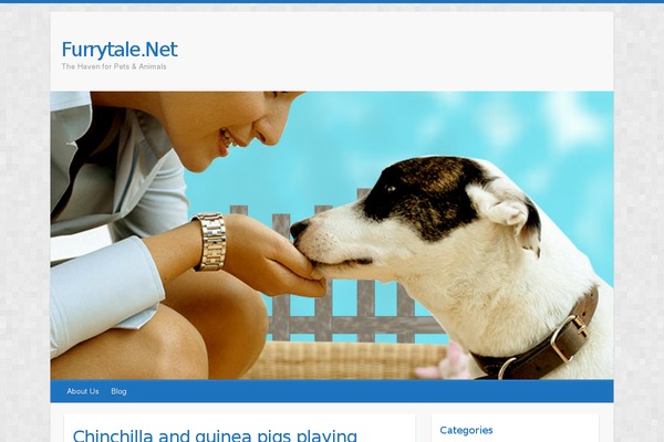 Travelify theme site design template sample