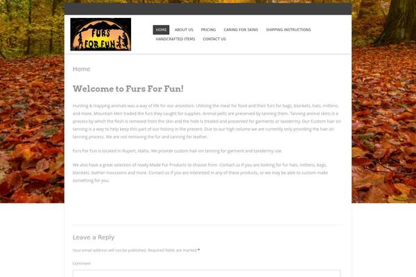 Bota theme site design template sample