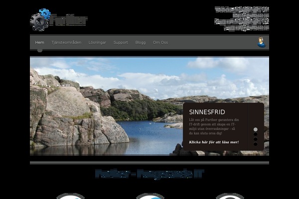 Blackbird theme site design template sample