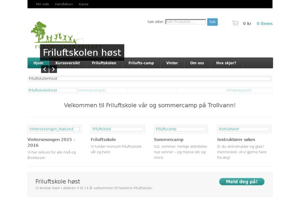 Function theme site design template sample