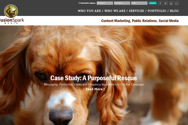 Fsm theme site design template sample