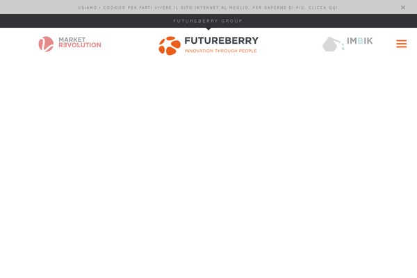 Site using Wp-subscribe-form plugin