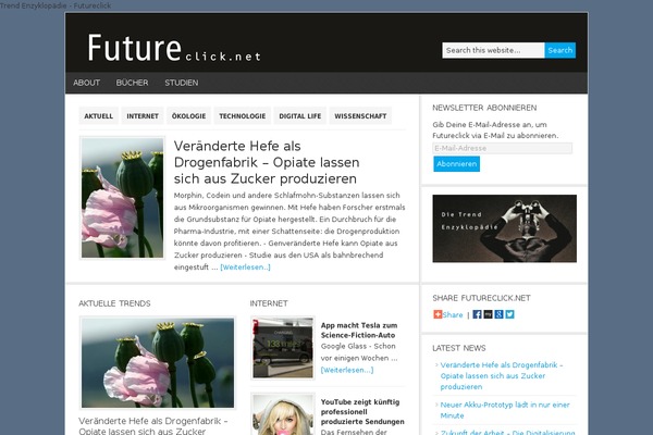 News theme site design template sample