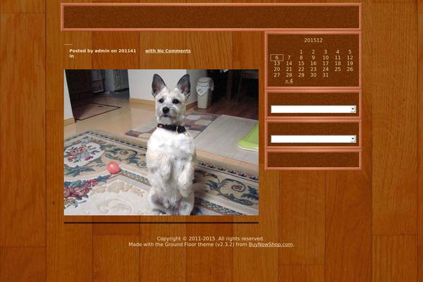 Ground Floor theme site design template sample