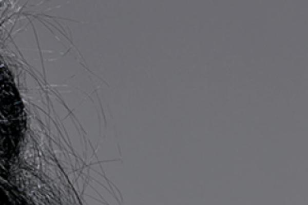 Flashlight theme site design template sample