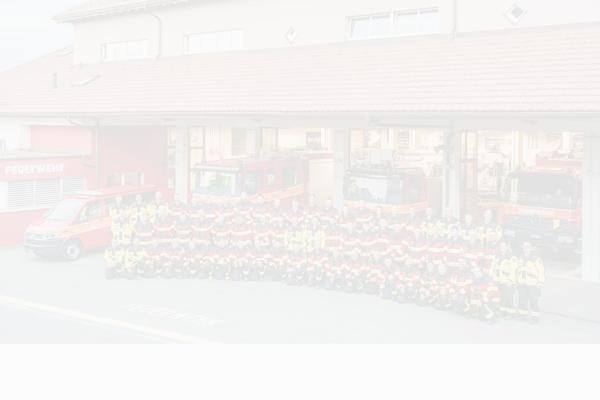 Site using Everest-timeline plugin