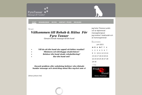 New-golden-gray theme site design template sample