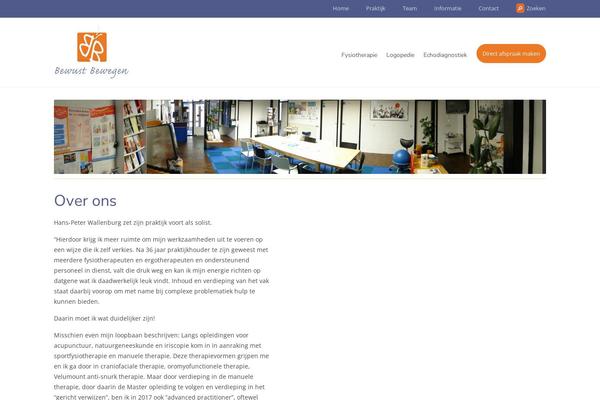 Site using Wp_logooos_plugin plugin
