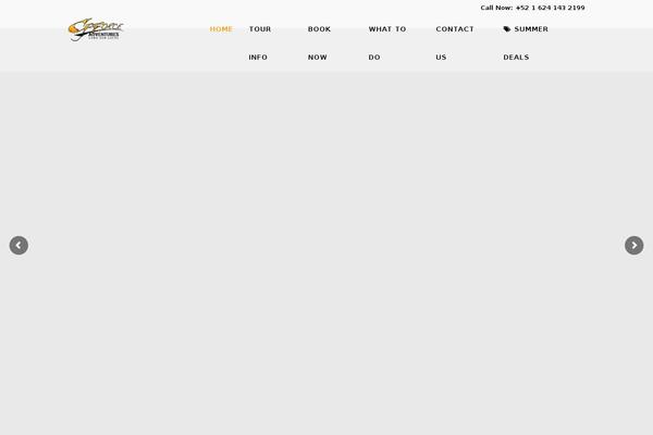 Site using Popup Builder plugin