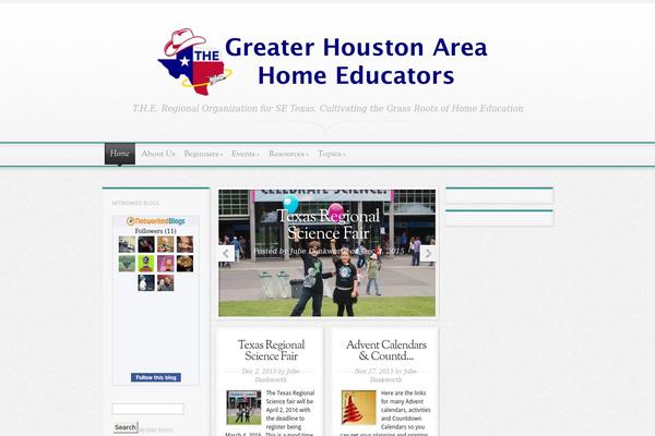 Magnificent theme site design template sample