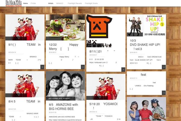 Pinbin theme site design template sample