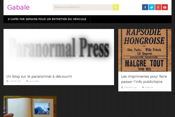 The Fox theme site design template sample