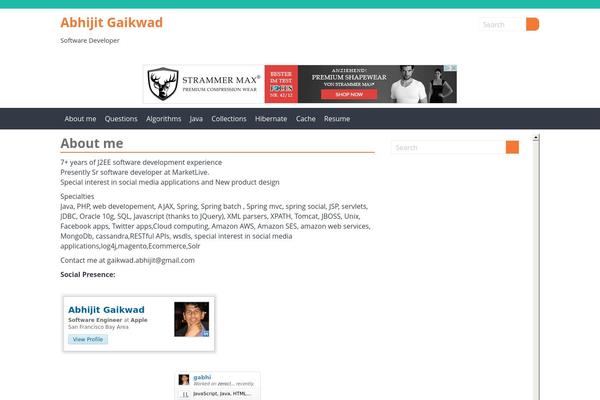 gabhi.com site used Adaptive Flat