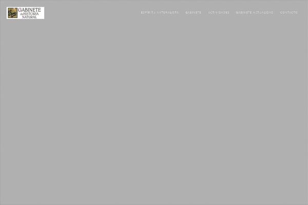 Wp_haswell theme site design template sample