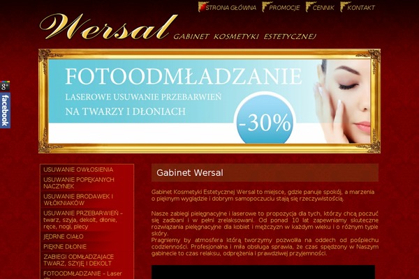 Cms theme site design template sample