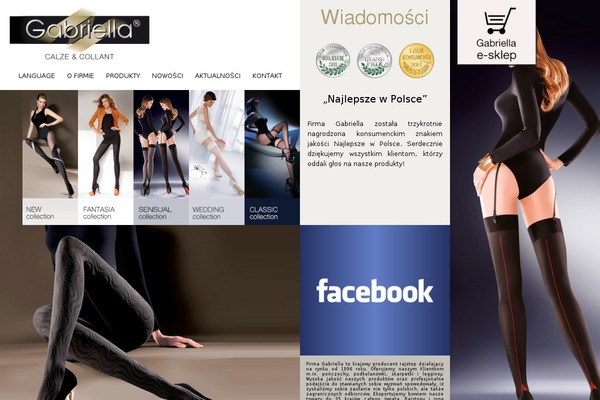 Invictus theme site design template sample
