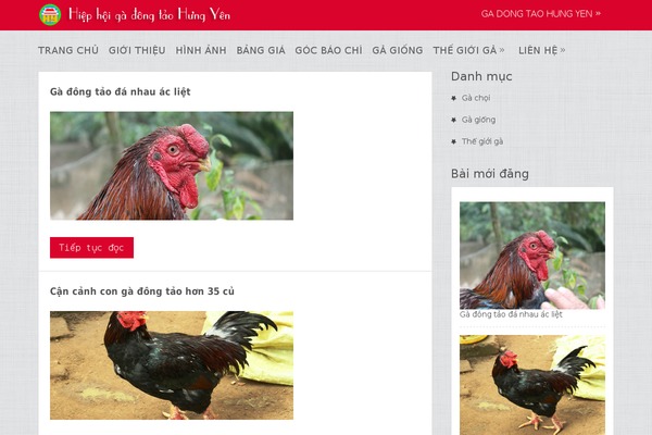 Nominal theme site design template sample