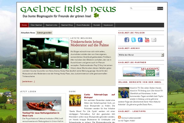 Branfordmagazine Pro theme site design template sample