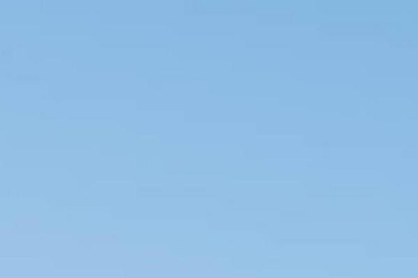 Parallax theme site design template sample