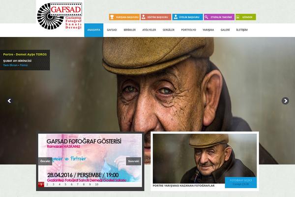 Pro theme site design template sample